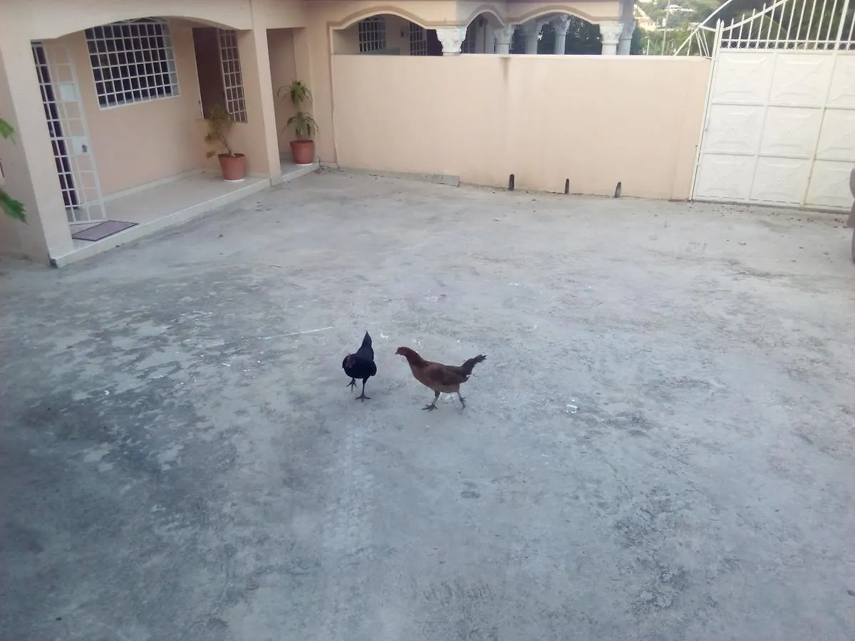 Souvenir House Apartment Port-au-Prince 0*,